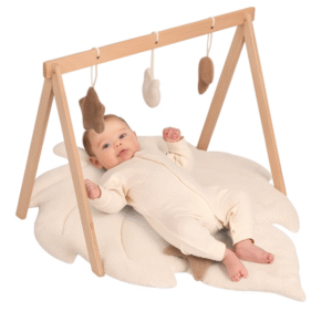 Dyshek dhe Lodra për Foshnje