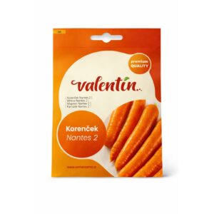 Fara Karrote “Nantes 2”