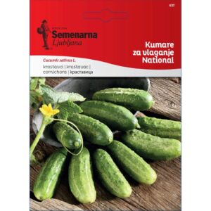 Fara Kastraveci “National për Turshi”