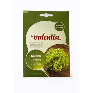 Fara Sallate “Grand Rapids”